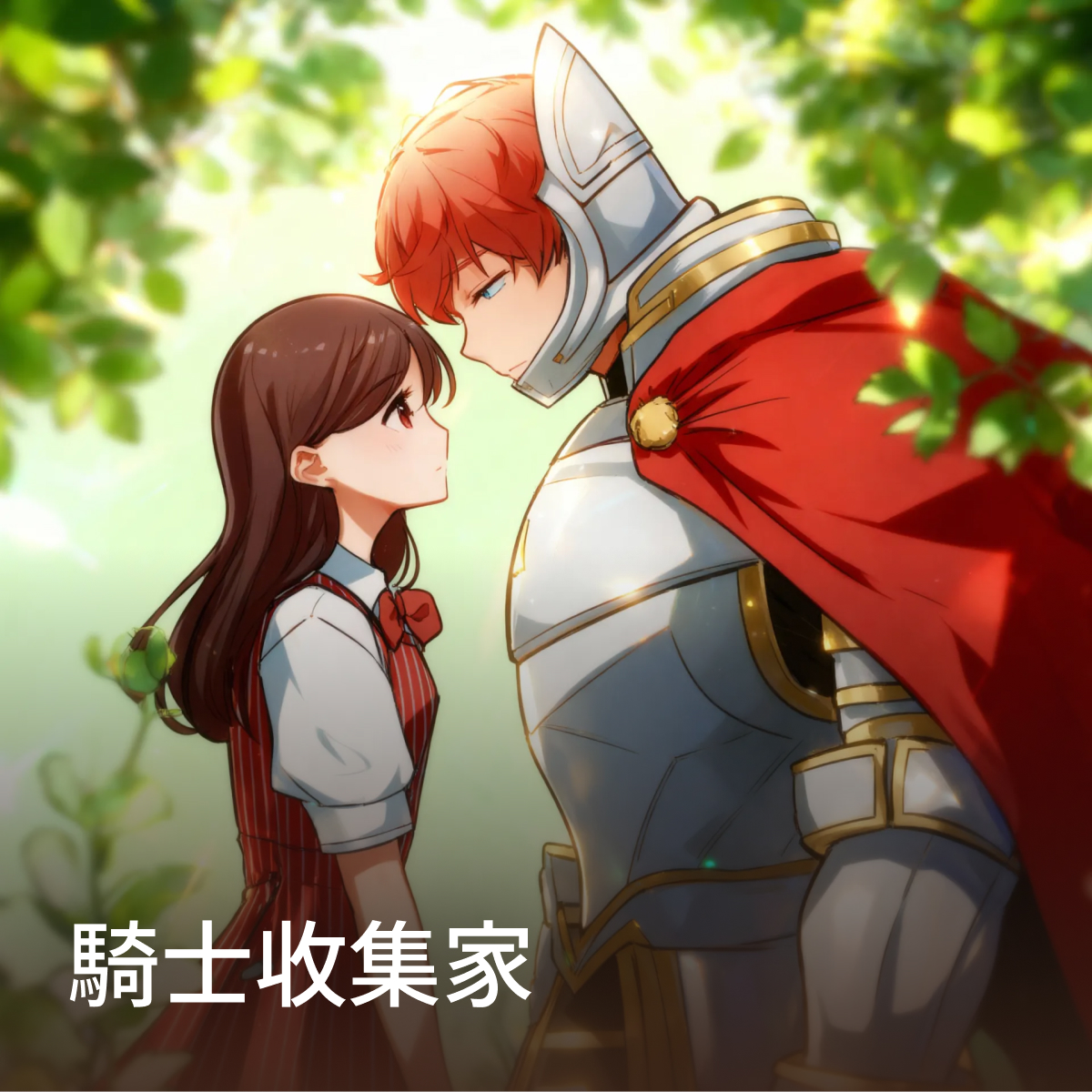 騎士收藏家 thumbnail